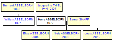 Mini tree diagram