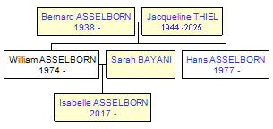 Mini tree diagram